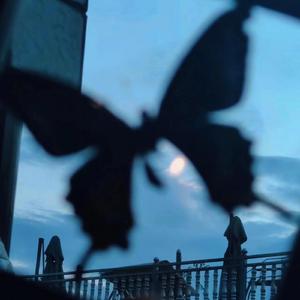 张柏芝奶头被陈冠希吃奶的
